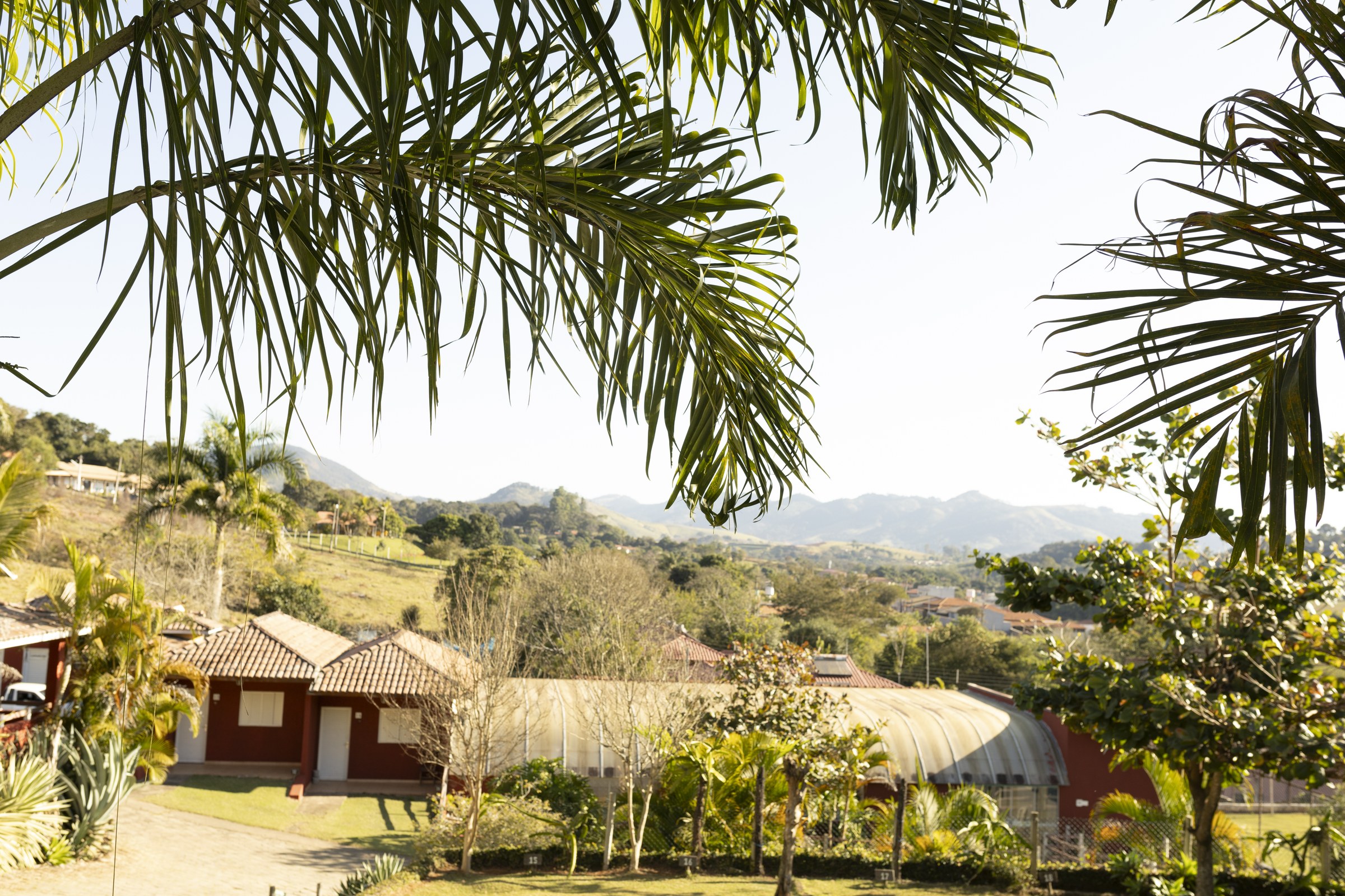 Palmeiras emolduram a vista das montanhas e dos jardins do hotel